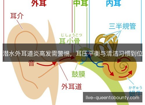 潜水外耳道炎高发需警惕，耳压平衡与清洁习惯到位